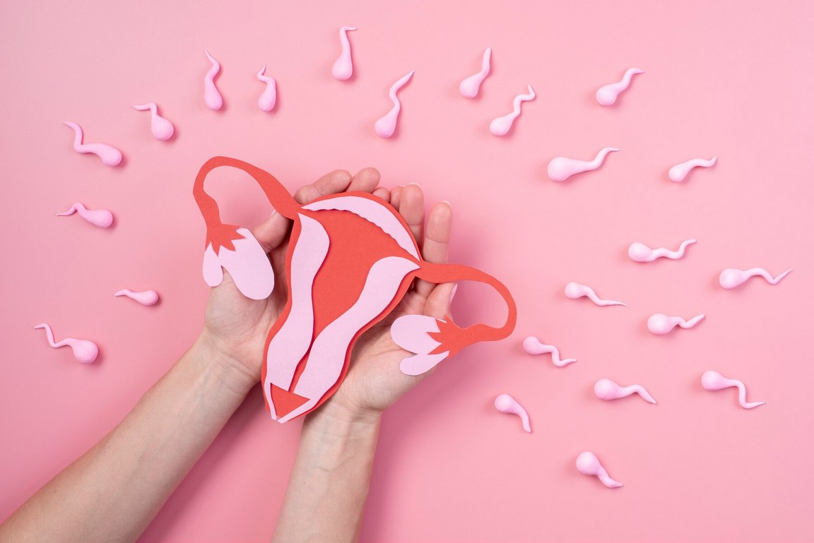 Как правильно рассчитать овуляцию