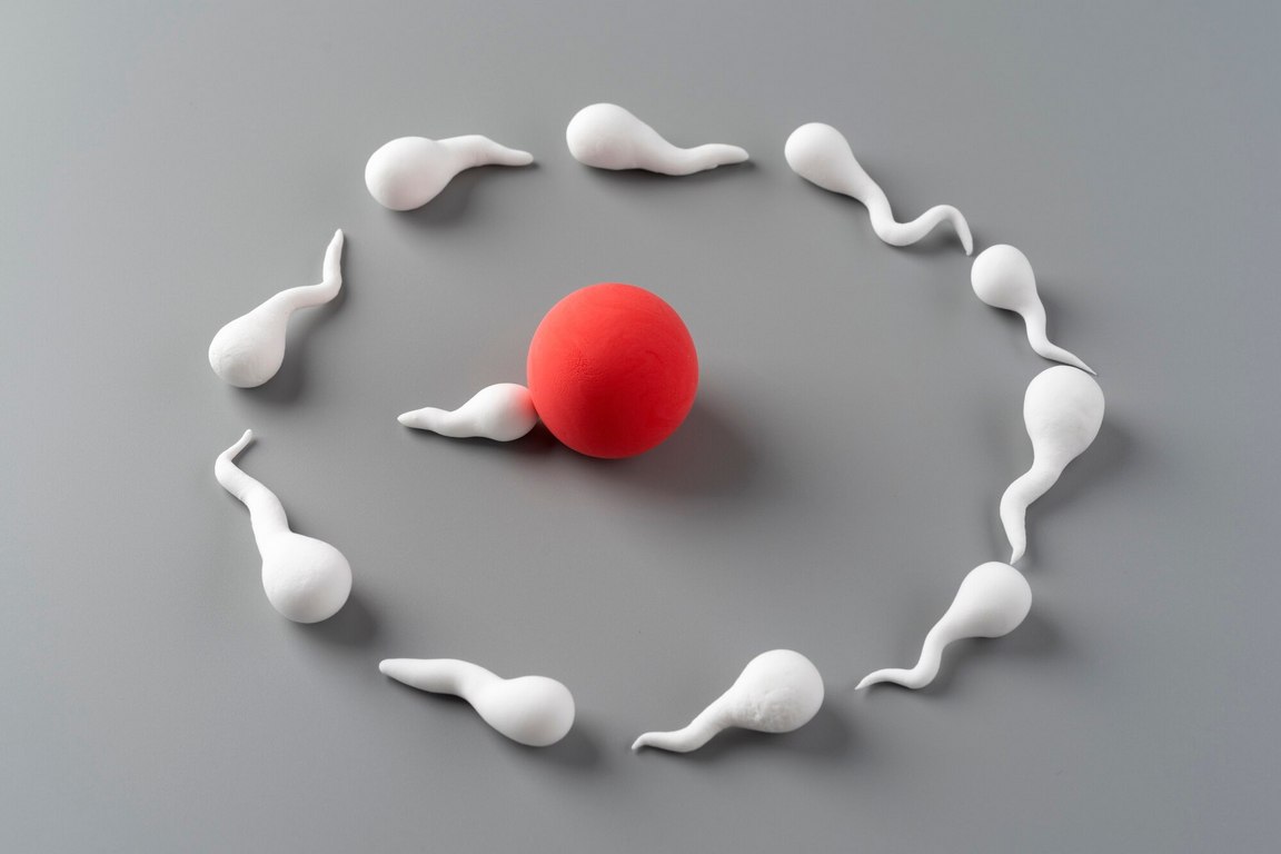 Как происходит процедура ИКСИ