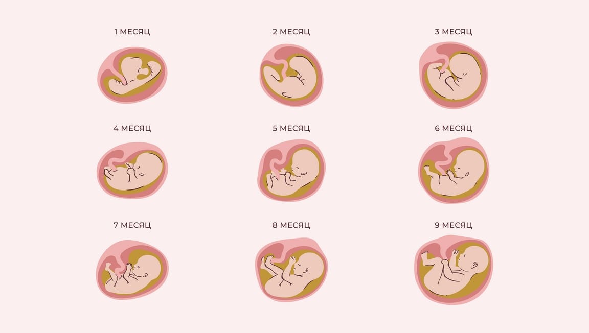 Первый триместр беременности: изменения по неделям