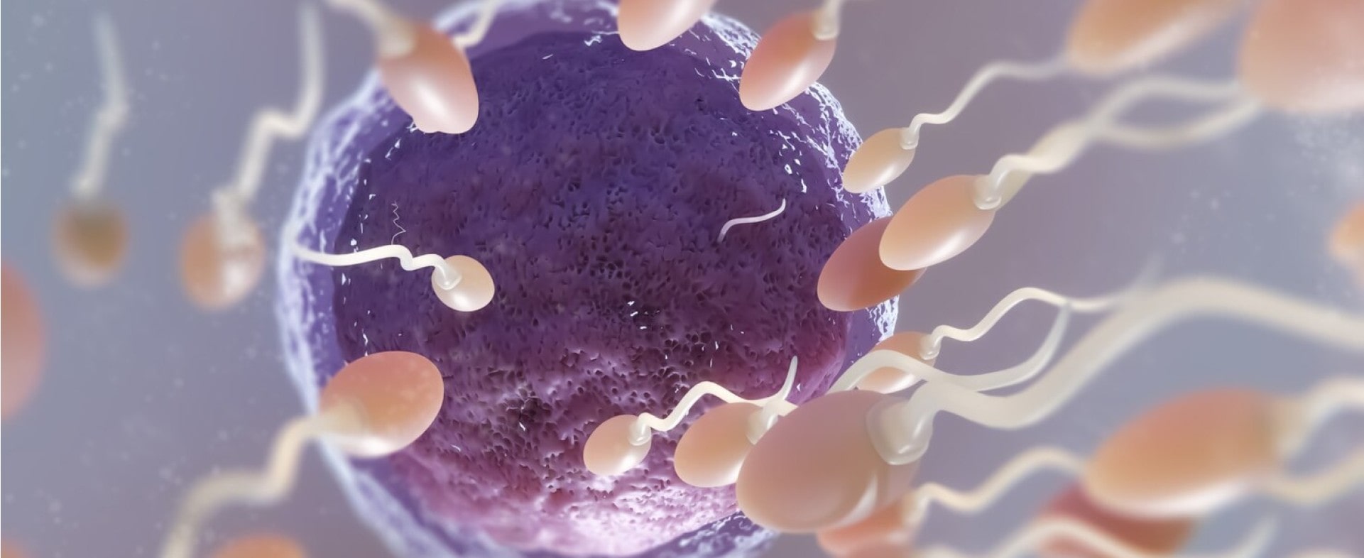 «Адамдар ақымақ» фильмі порнографиялық фильм. Менің бүкіл өмірім тек секс