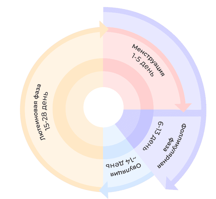 Что, когда и почему?